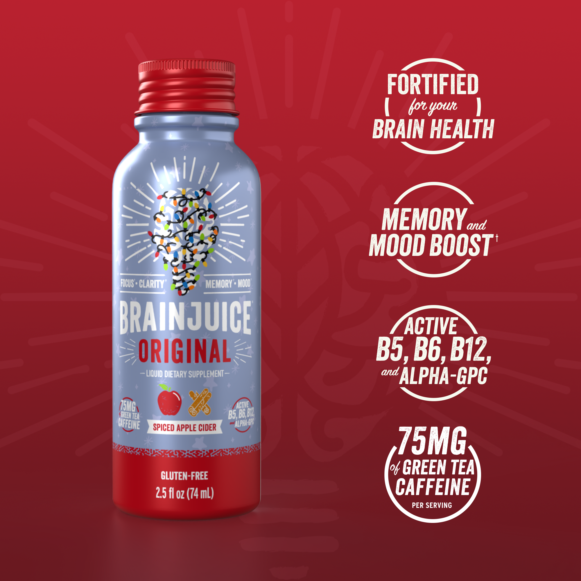 Holiday Spiced Apple Cider 2.5 oz. Ready to Drink Supplement | 12-pack