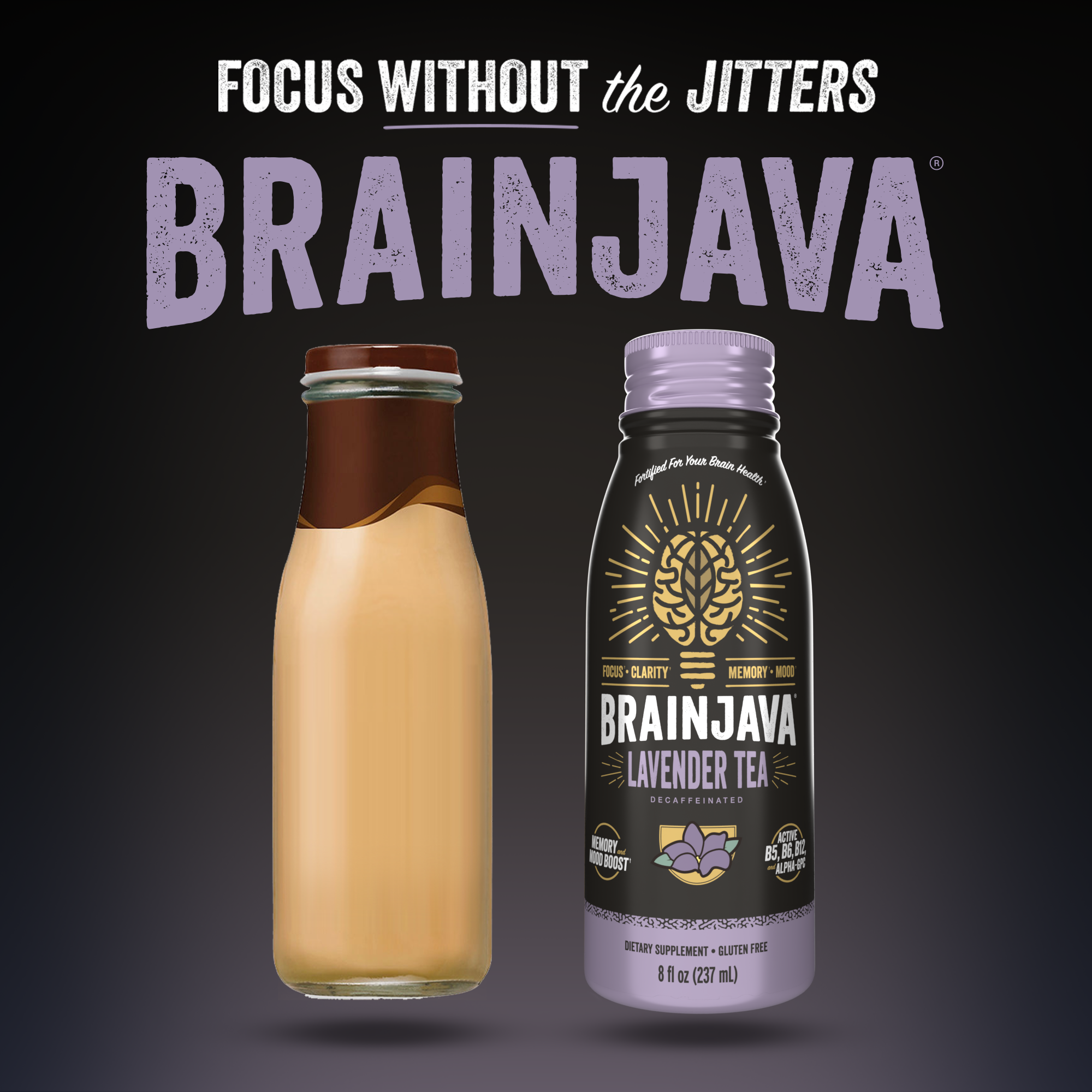 BRAINJAVA LAVENDER TEA 8 FL OZ RTD 4-pack