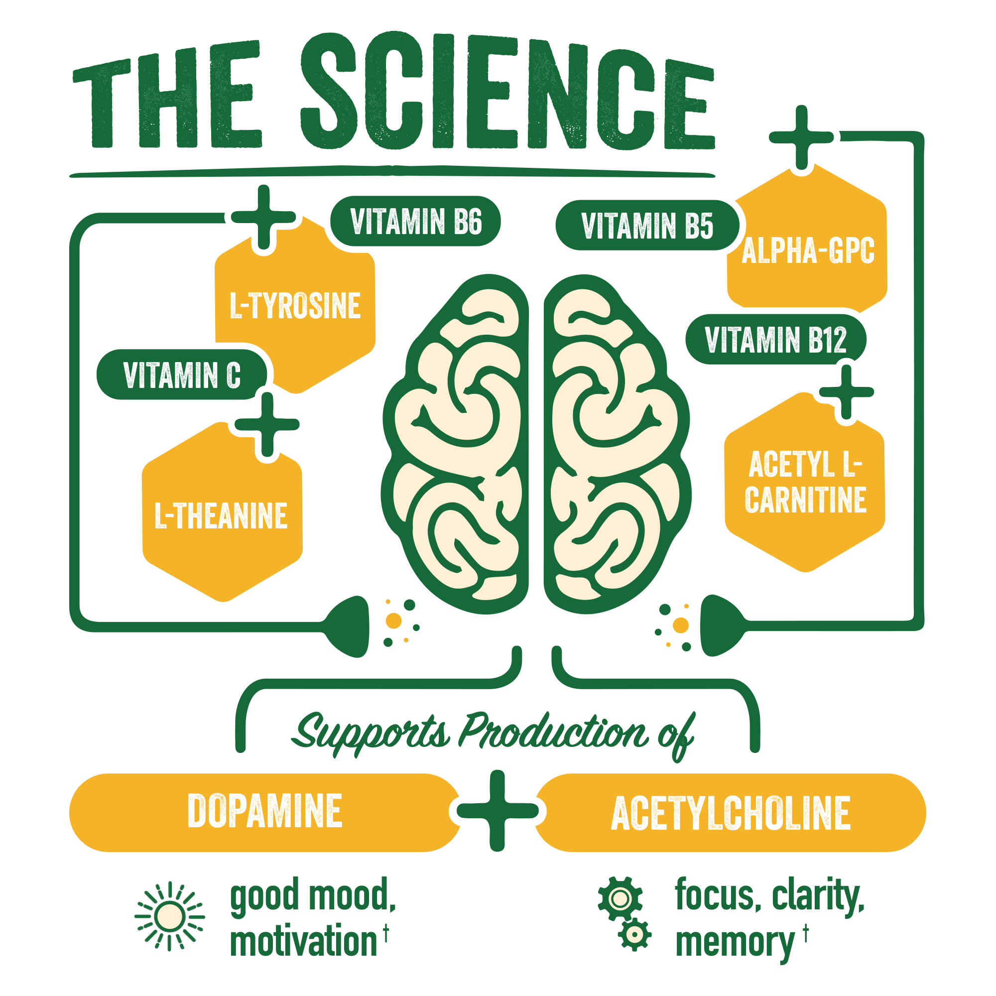 BrainJuice Daily BrainPower Mix Peach Mango - 15 Servings