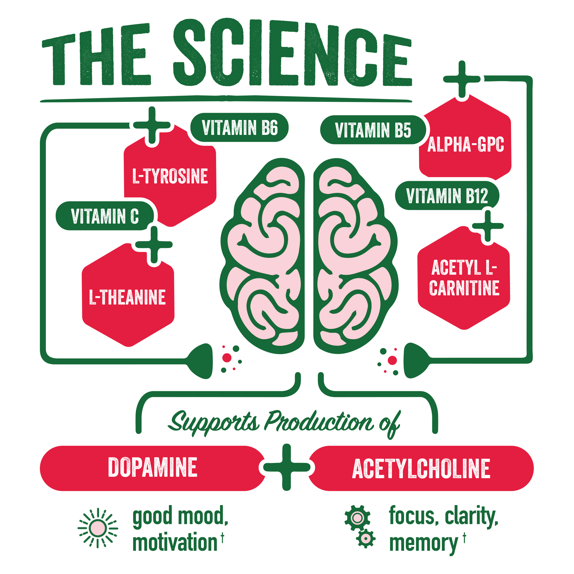 BrainJuice Pomegranate Daily BrainPower Mix - 15 Servings