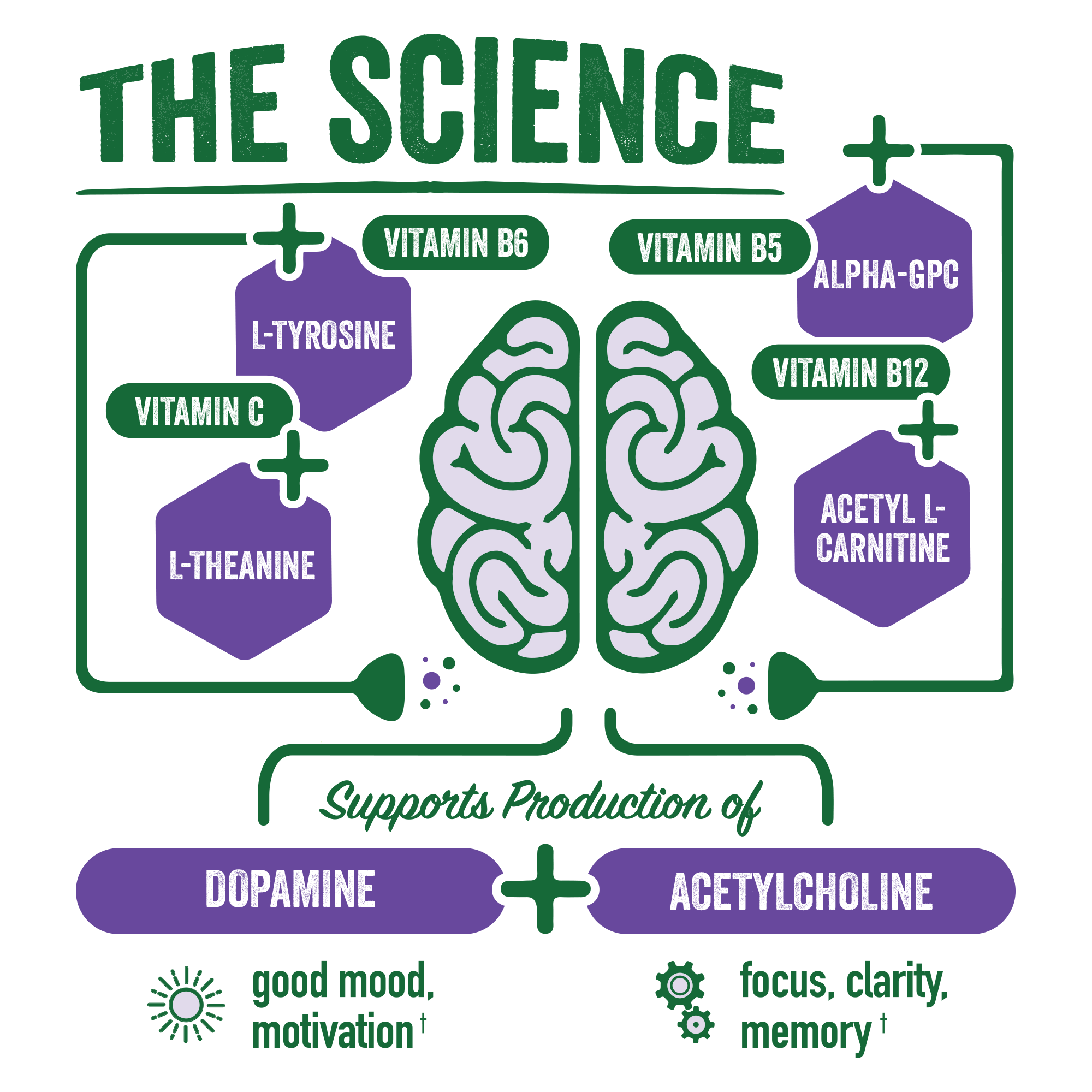 BRAINJUICE Immunity Huckleberry Hibiscus 2.5 oz. Ready to Drink Supplement | 12-pack