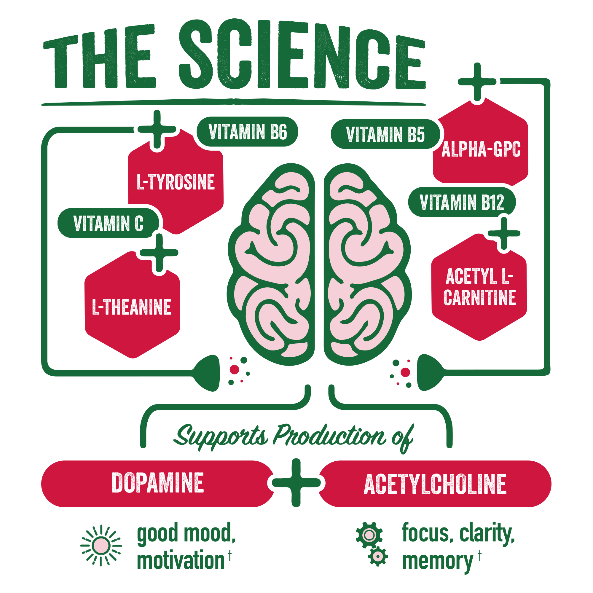 BRAINJUICE Immunity Pomegranate Acai 2.5 oz. Ready to Drink Supplement | 12-pack