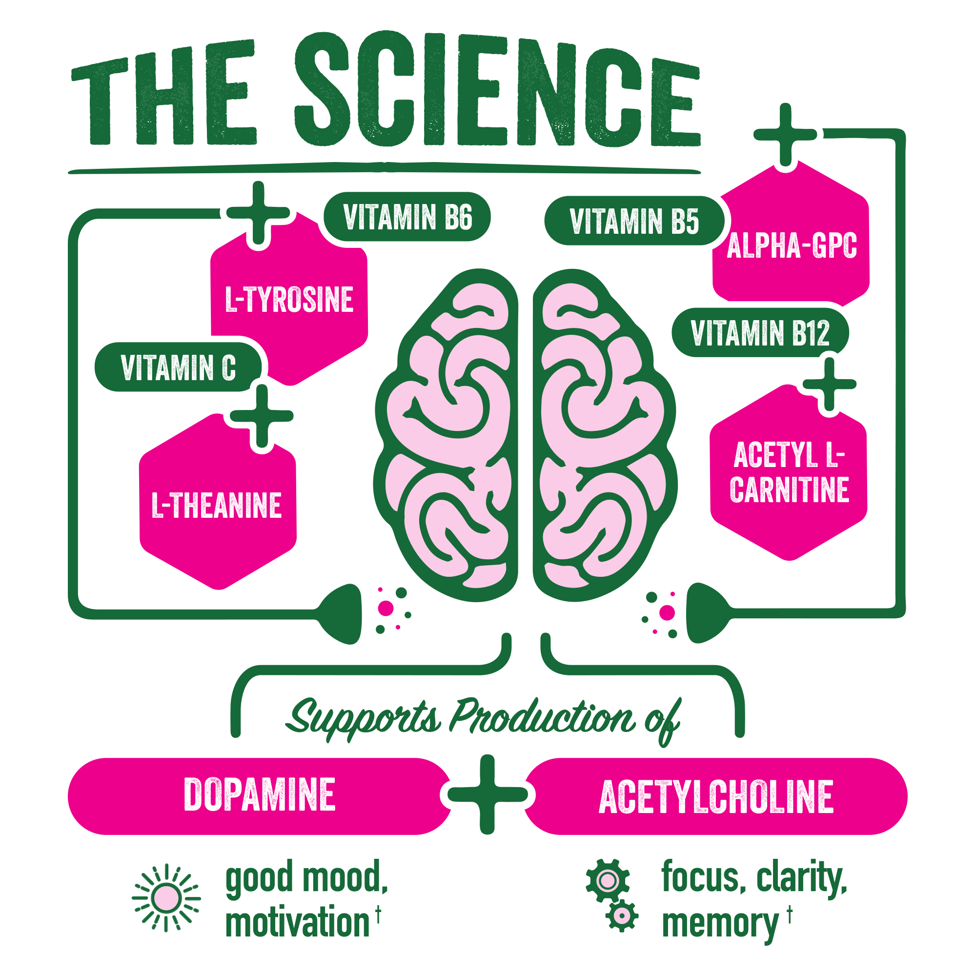 BRAINJUICE Kids Immunity Dragon Berry 2.5 oz. Ready to Drink | 12-pack