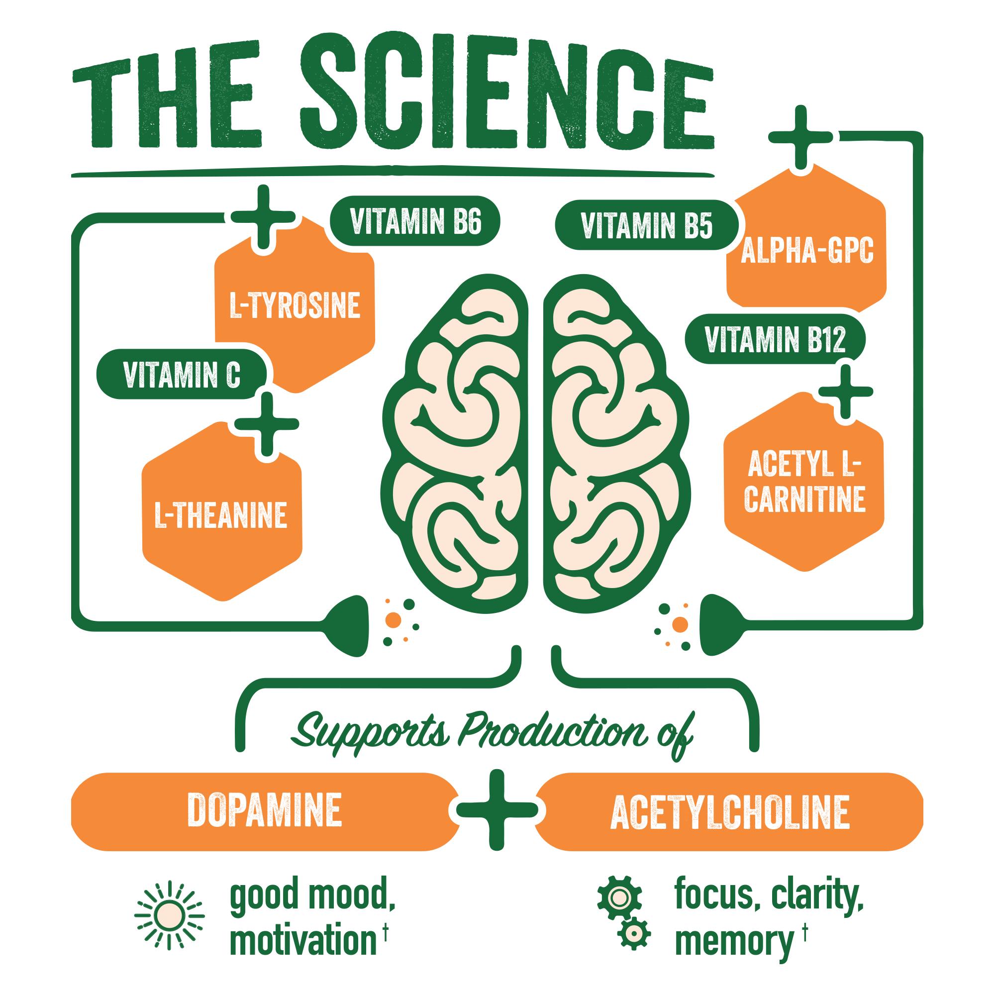 BrainJuice ACTIVE Pomegranate Acai Daily BrainPower Mix - 15 Servings