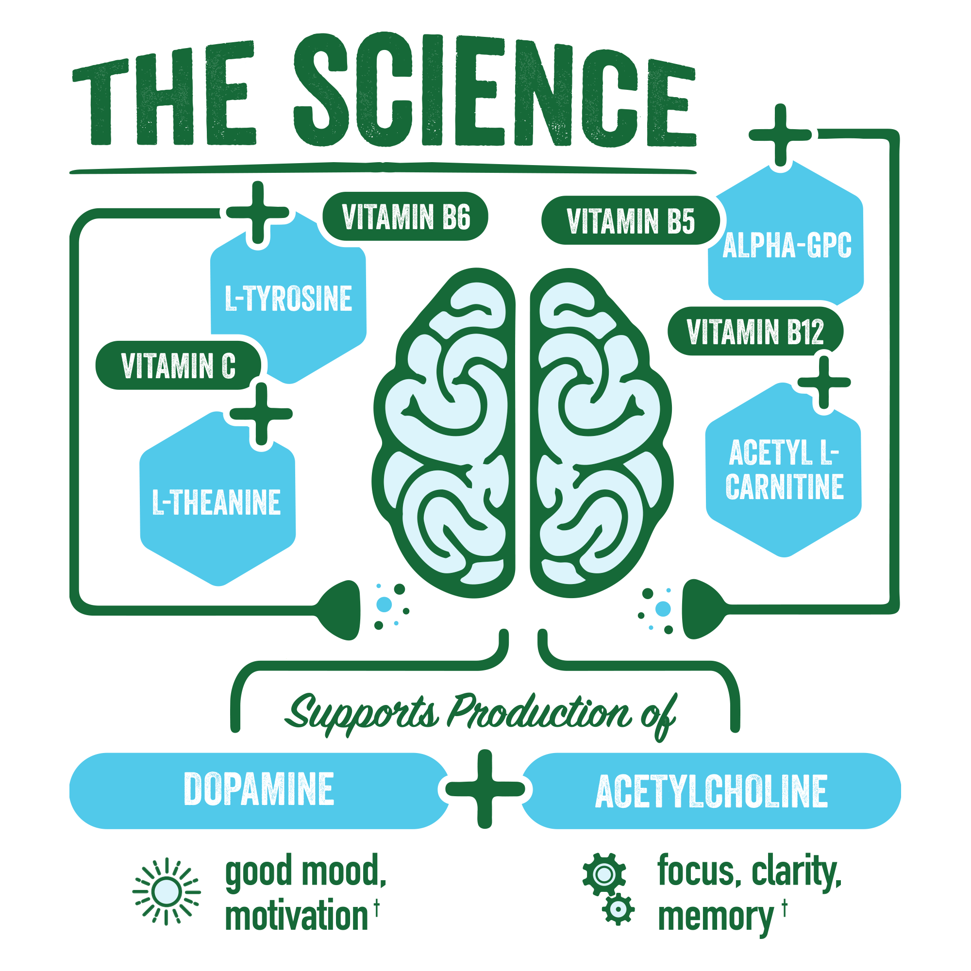 BRAINJUICE Decaf Peach Mango 2.5 oz. Ready to Drink Supplement | 12-pack