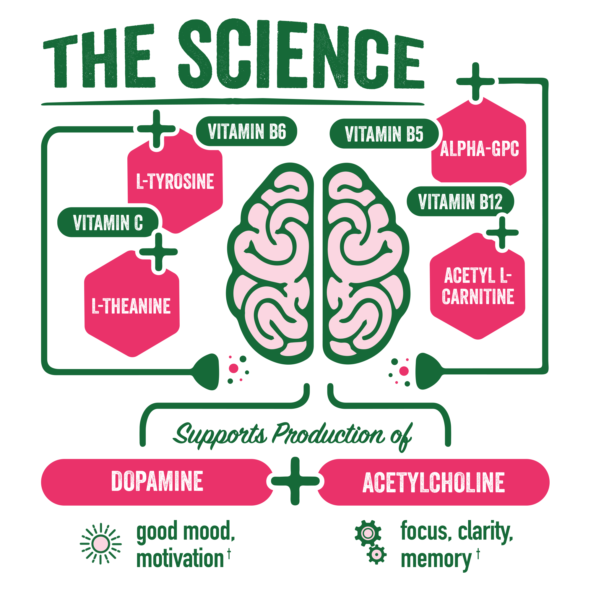 BRAINJUICE Original Strawberry Lemonade 2.5 oz. Ready to Drink Supplement | 12-pack